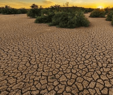 POSITIVE results on arrest of depleting ground water in Punjab