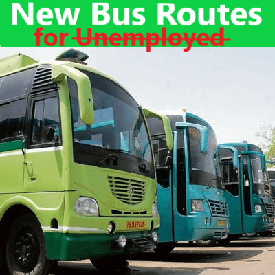 1,165 out of planned 3000 mini-bus permits issued to youth in Punjab