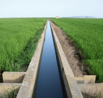 Revived Canal Irrigation, Saved Govt Money and Happy Farmers