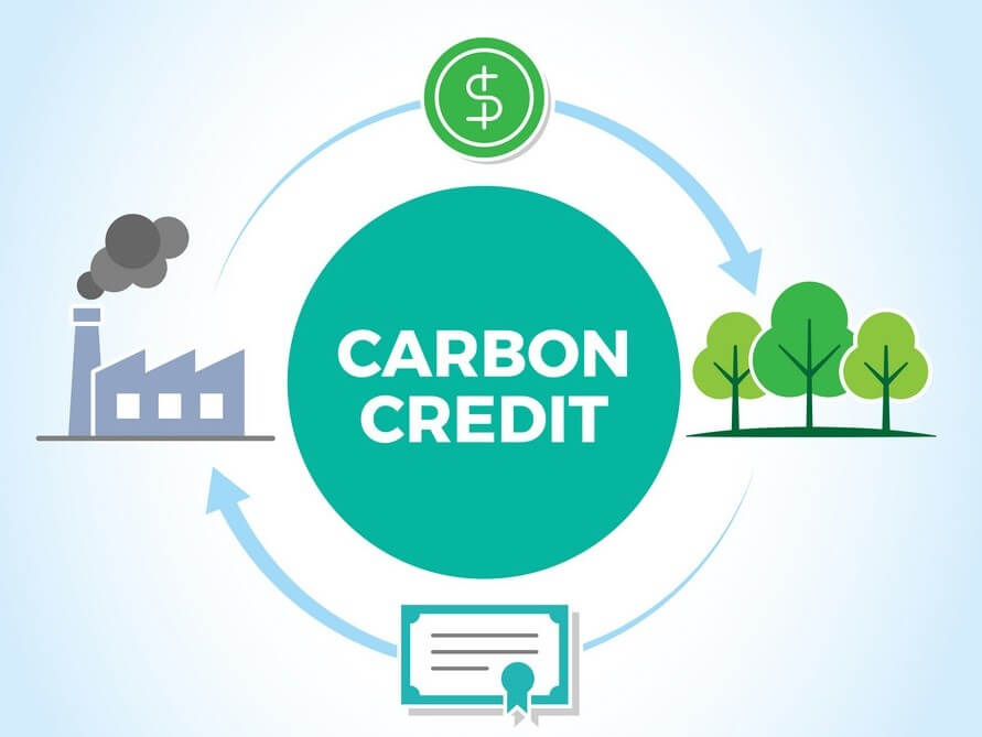 carbon-credit.jpg